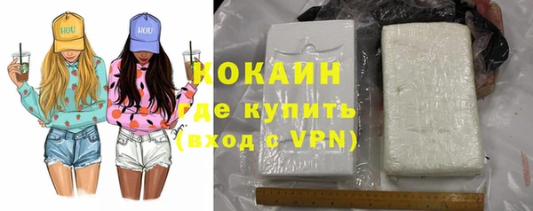 крисы Верхний Тагил