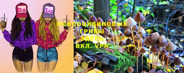 дживик Верея