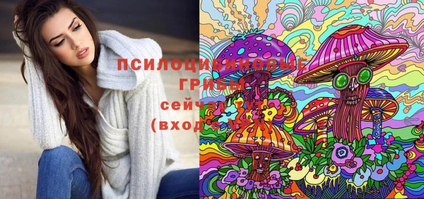 крисы Верхний Тагил