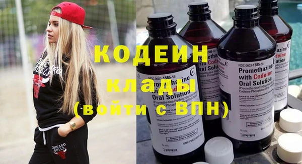 крисы Верхний Тагил