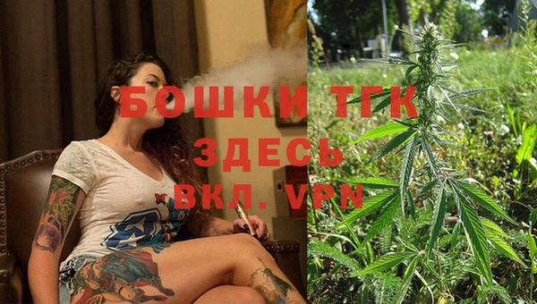 крисы Верхний Тагил