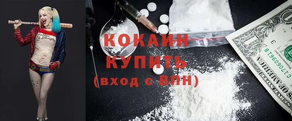 дживик Верея