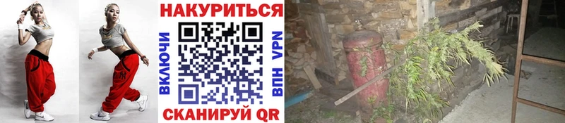 Канабис индика  Горячий Ключ 